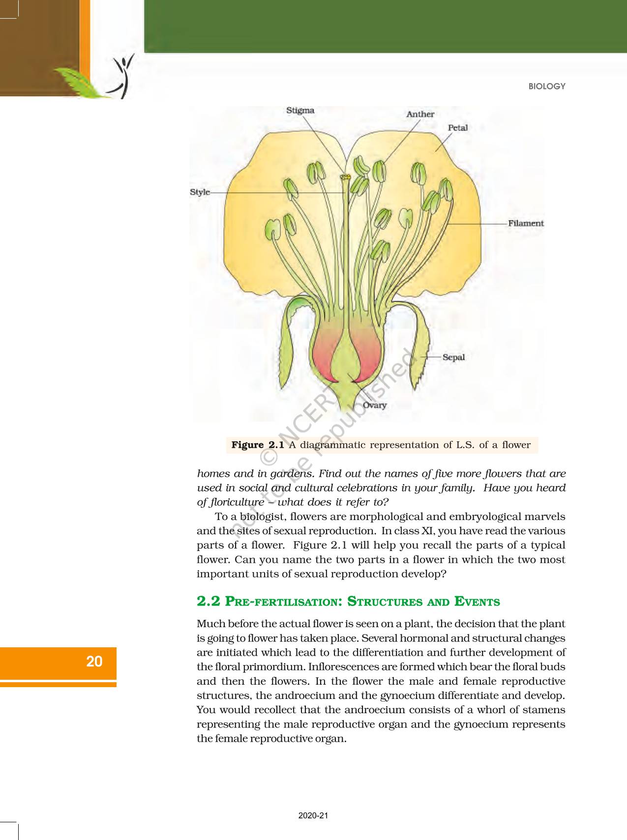 Sexual Reproduction In Flowering Plants Ncert Book Of Class 12 Biology 